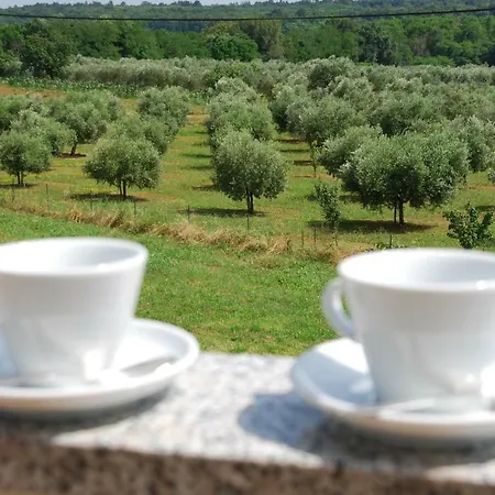 Edda Nocleg ze śniadaniem