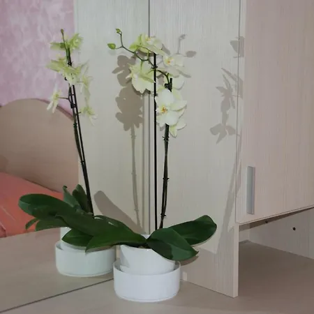 Oda ve Kahvaltı Edda 3*