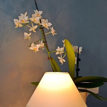 Edda Nocleg ze śniadaniem