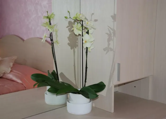 Bed & Breakfast Edda 3*