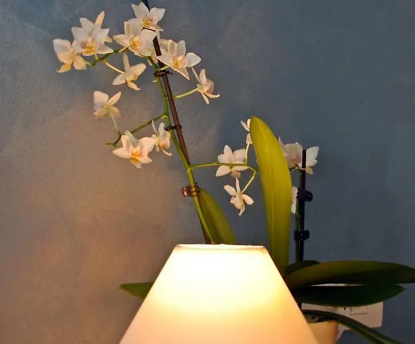 Edda krevet i doručak